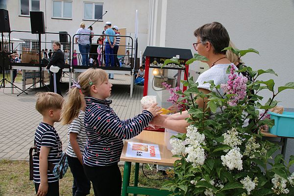 Festyn rodzinny 31 maja 2025 - zdjęcie 29