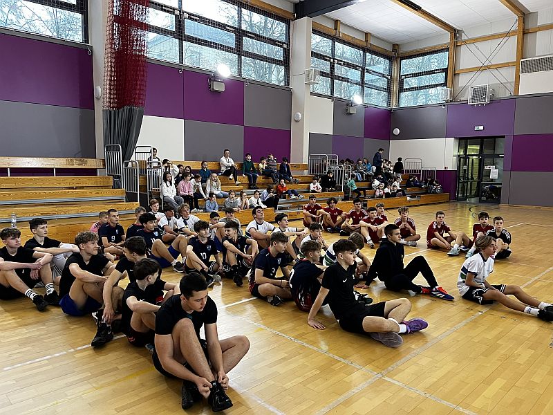 Piłka ręczna - zdjęcie 2