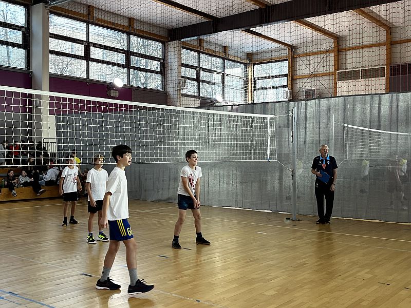 Piłka siatkowa - zdjęcie 2