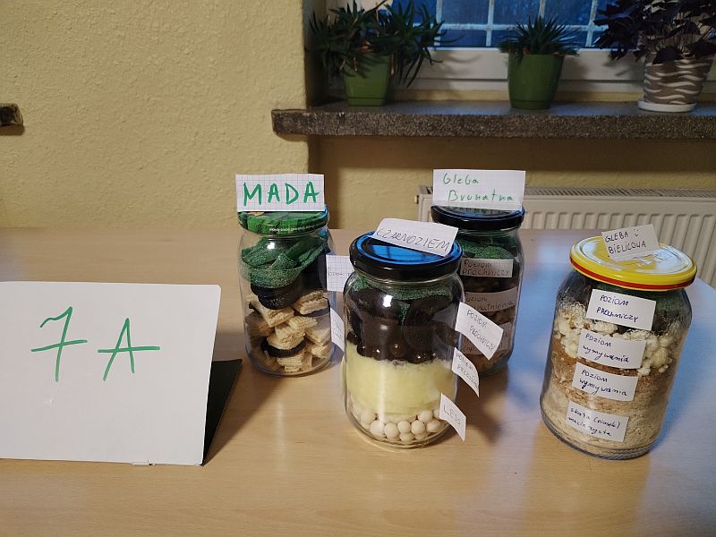 Siódmoklasiści odkrywają profile glebowe - zdjęcie 1