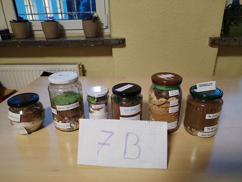 Siódmoklasiści odkrywają profile glebowe - zdjęcie 2